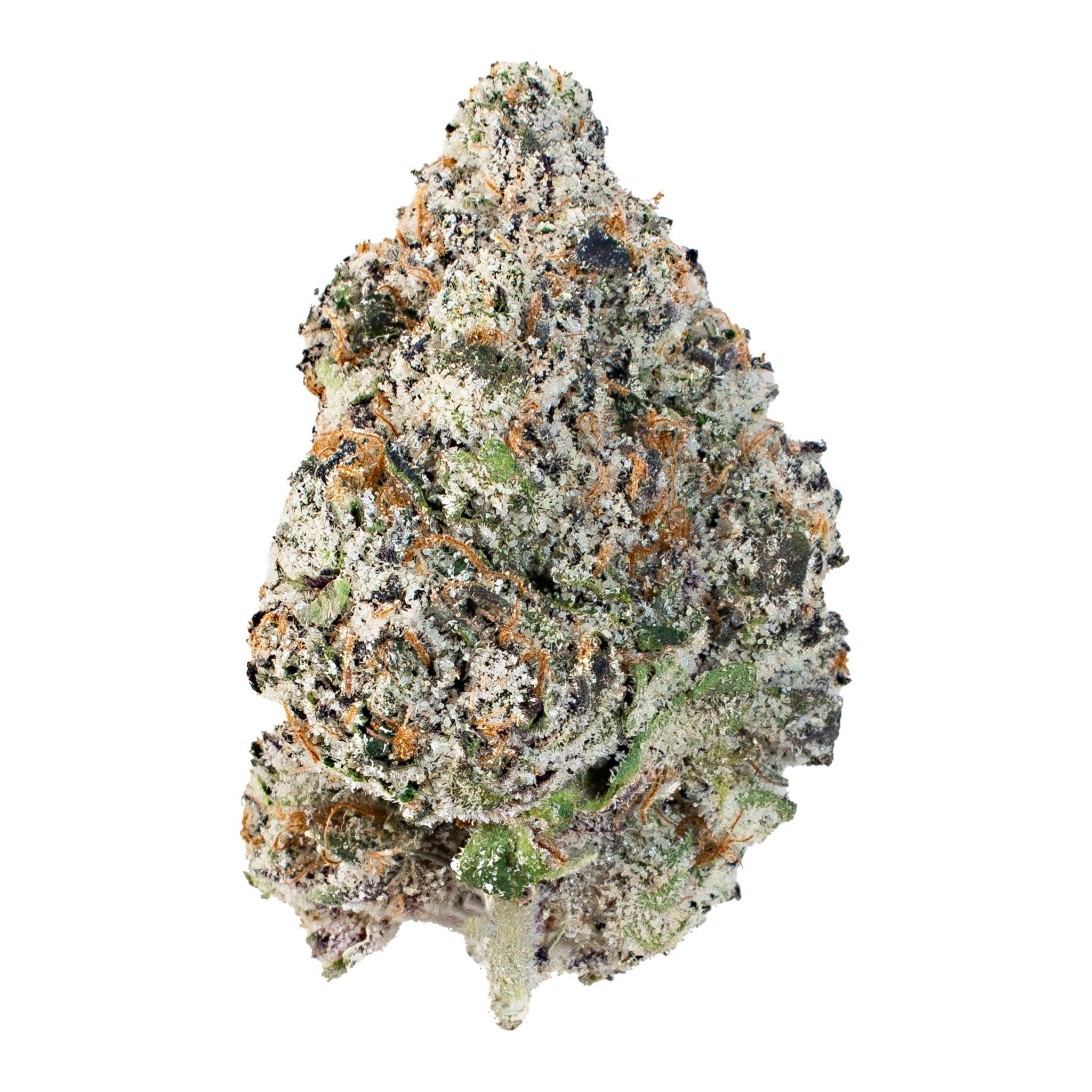 Gumbo Loaf Mafia ( Indica Hybrid )