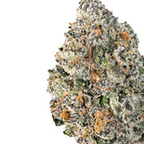 Pineapple Whip (Hybrid)